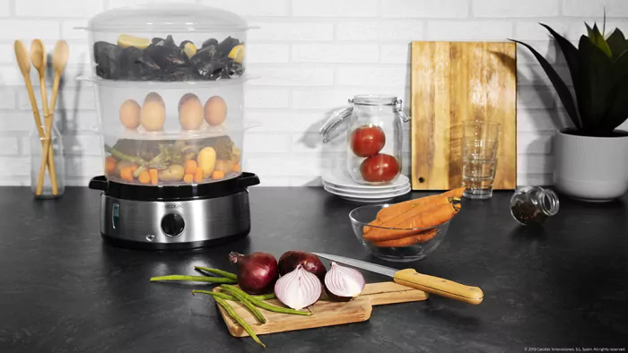 04109-vapovita_3000_inox_02_jpg