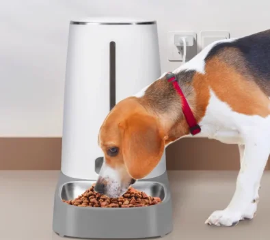 Comedouro para animais