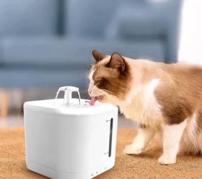 Bebedouro Inteligente