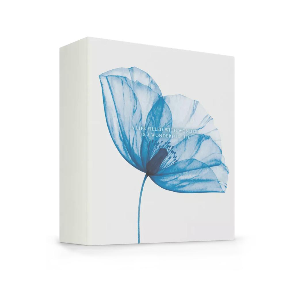 6866120_03.jpg-1032x1032